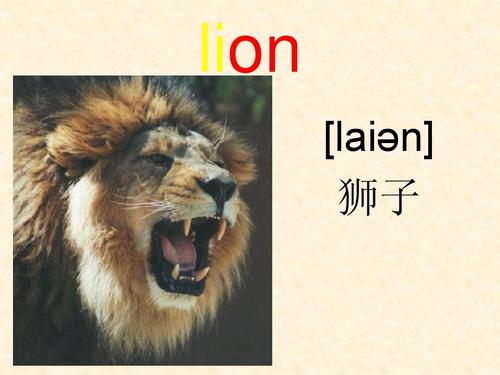 狮子英文